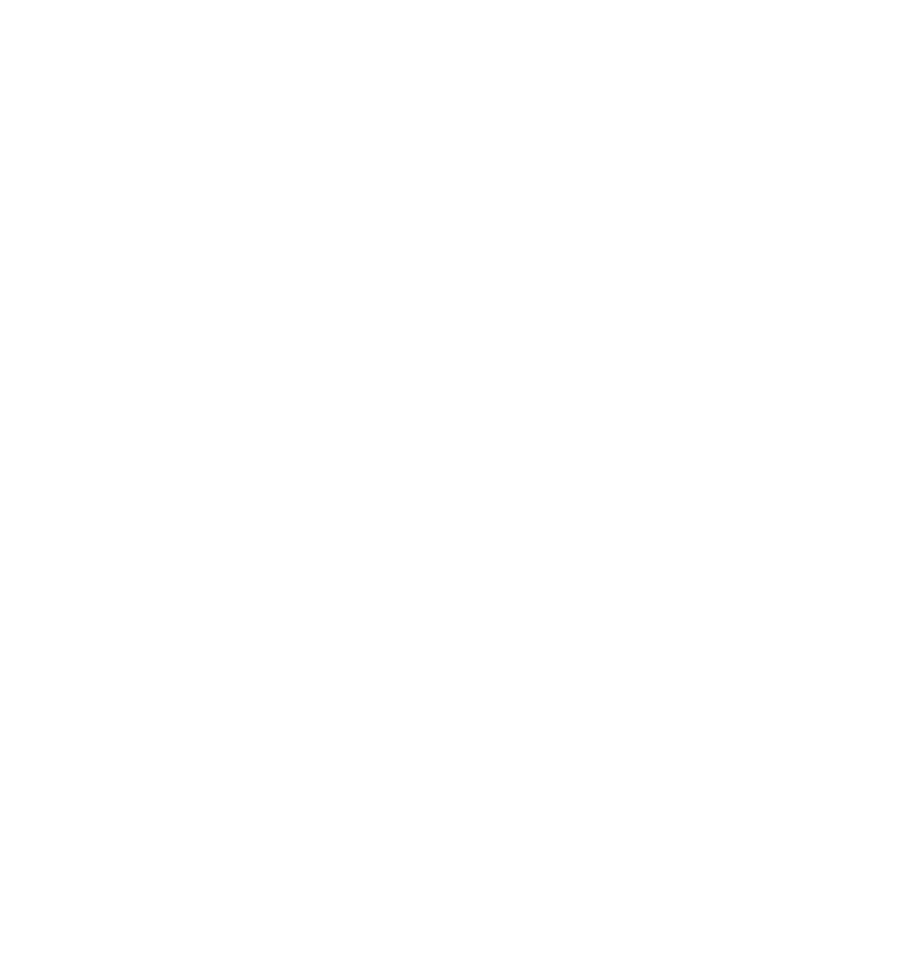 banner-shape3